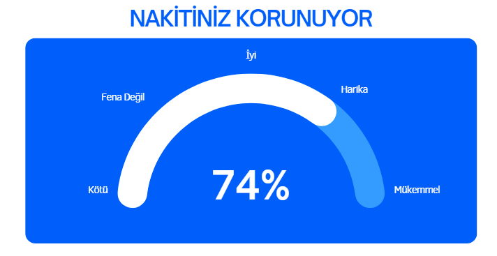 CashGuard örnek skor çıktısı
